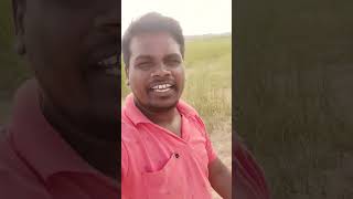 hunting fish ll #instagaram #moj #comedy #youtubeshorts