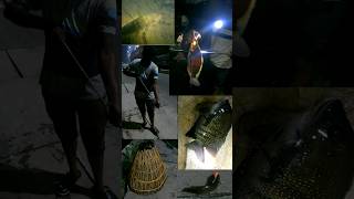 இரவில் மீன் வேட்டை..👌🔥💯Night fishing experience..🔥👌#fishinglife #youtubeshorts