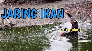 Tangkap ikan : jaring ikan nila || wak gondrong lagi berburu ikan