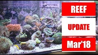 Red Sea Reefer 525 - Update Mar 2018