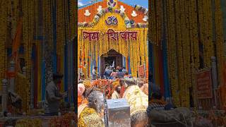 Kedarnath Yatra 2024 || बाबा केदार  दर्शन का Average time in queue 3_6 hours #youtubeshorts #mahadev