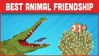 Best Animal Friendships in the Wild