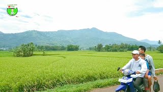 Suasana Kampung Di Garut Utara Yang Penuh Keindahan Tersembunyi