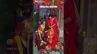 Himachali Wedding #ytshortsindia #ytshorts #couple #love #marriage #wedding #viralvideo #ytshorts