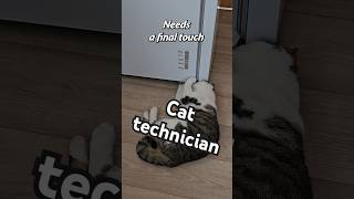 Cat technician