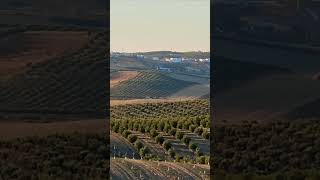 Vistas de #montalban desde la carretera de #aguilar. #campiñacordobesa #cordoba #andalucia #españa.