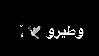 حلات واتساب2023|هاتو🤙🏼اخركو😉كلام🗣واتكلمو😒في ضهرنا👎🏻🔥|حمو طيخا2023/#شاشه_سوده #حملة_توصيل_800_مشترك