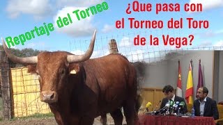 Prohiben el Toro de La Vega, Pero  ¿qué es?