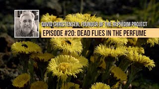 Ecclesiastes: Episode 20 - Dead Flies in the Perfume