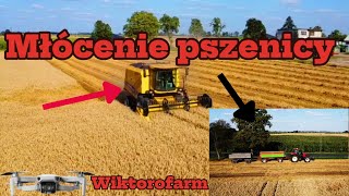 Młócenie Pszenicy 💪🚨🌾