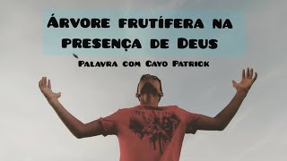 ÁRVORE DE BONS FRUTOS! (Cayo Patrick) #palavrasdevida