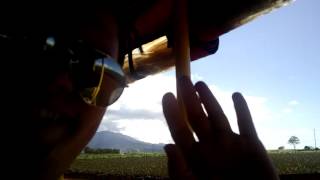 Dole Pineapple Plantation - Hawaii