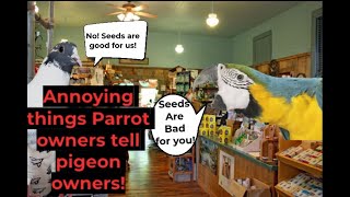 Annoying things PARROT owners say to PIGEON owners!