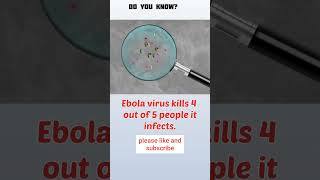 fact 46, ebola virus