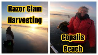 RAZOR CLAMMING WASHINGTON - COPALIS BEACH - CATCH AND CLEAN