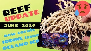 Reef Update: Neue Korallen, Oceamo ICP (Jodwert 1700)