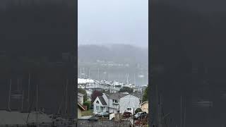 Misty Morning at Liberty Bay Poulsbo Washington