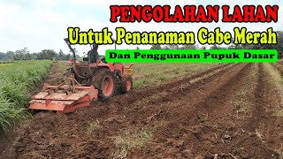 Pengolahan Lahan Untuk Penanaman Cabe Merah Keriting