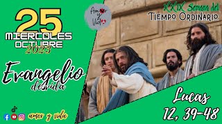 Lucas 12, 39-48 (Amor y Vida)