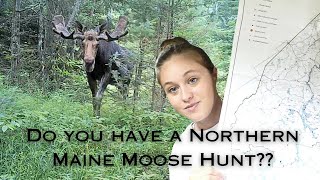 Answering Most Asked Questions About The North Maine Woods // If You Have A Moose Hunt Watch This!