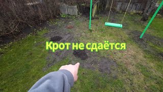 Крот не сдаётся.