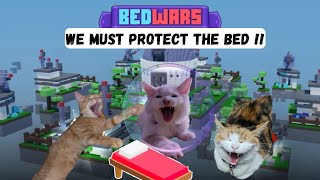 WE MUST PROTECT THE BED !!