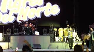 Un día a la vez Los tigres del norte . Concierto Puerto Asís Putumayo Colombia #shorts #viral