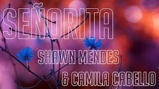 Shawn Mendes & Camila Cabello - Señorita [TRADUÇÃO/LEGENDADO]