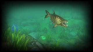 Feed And Grow Fish River TigerFish