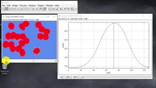 014 Perfil en Z y Multimedidas (Curso ImageJ-Fiji)