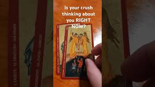 Your crush CANNOT STOP thinking about you! #tarot #soulmate #shorts #lovereading #manifestlove