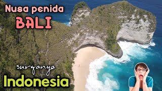 Nusa penida bali ll kelingking beach ll broken beach