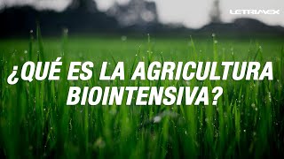 Qué es la Agricultura Biointensiva?