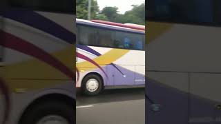 Bis HIBA PUTRA | Bandung - Palembang - Jambi #bismaniacommunity #videoshort