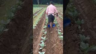 7 HP pawar veedar attechment reejar #kisanfarming #kisan #kisankheti #shortsfeed #shorts#trending