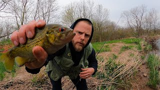 This weeks CREEK FISHING Highlights #01