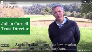 Planting a new wildflower meadow at Sharpham