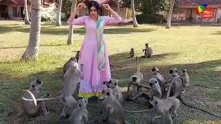 Ada Sharma Playing With Monkey | How To Make Friends With Monkey