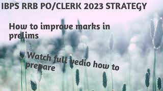 Ibps rrb po/clerk strategy