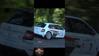 Rageau Philippe / Rageau Alexandra, Skoda Fabia Rally2, Rallye National Pays Saint Yrieix 2024