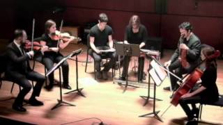 Substratum, by Jeff Snyder - performed by Susan Alcorn and the Mivos String Quartet