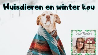 Hoe zorg je voor huisdieren in de winter? ZOO-CEMBER #4