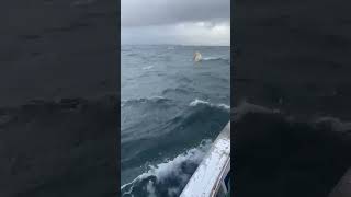 fuerza armada capta submarino en alta mar