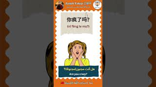 هل أنت غاضب؟ باللّغة الصّينيّة،جمل قصيرة لتعلّم الصّينيّة  بسهولة🇨🇳 are you crazy?in Chinese