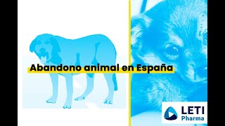 Repasando las cifras de abandono animal en España #perro #gato #veterinaria