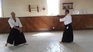 Shiho-nage Ura (Yokomen-uchi)