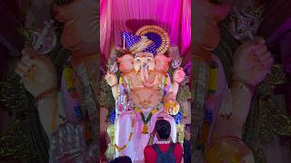 Girgaon Cha Raja 😍 #ganpatibappamorya #shorts