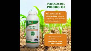 BIOESTIMULANTE AGRÍCOLA POTENZA AMINO - SICSAC