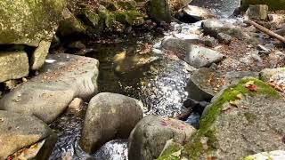 Dixville Notch State Park, Colebrook, New Hampshire