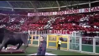 La Maratona al derby ! (TORINO - Juve 15/12/18) iscriviti al canale